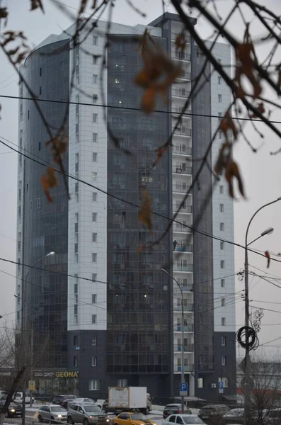 Esta Imagen Muestra Solo Edificio Con Hojas Primer Plano —  Fotos de Stock