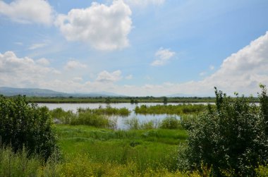 Bu resim çalılı bir nehri gösteriyor (panorama)