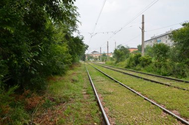 Bu resim çapraz demiryolunun yanındaki küçük bir mantarı gösteriyor.