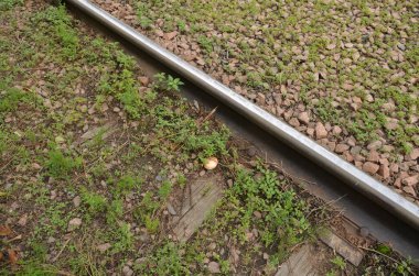 Bu resim çapraz rayların yanında küçük bir mantar gösteriyor.