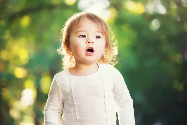 Glückliches Kleinkind Mädchen draußen — Stockfoto
