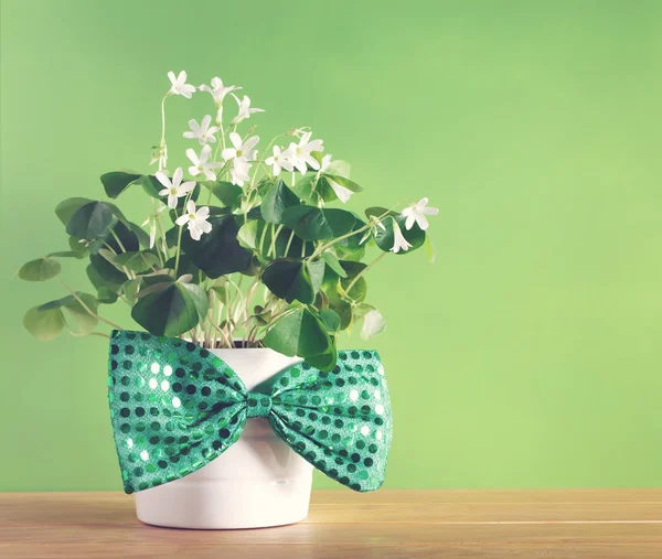 Saint Patricks Day shamrock — Stock Photo, Image