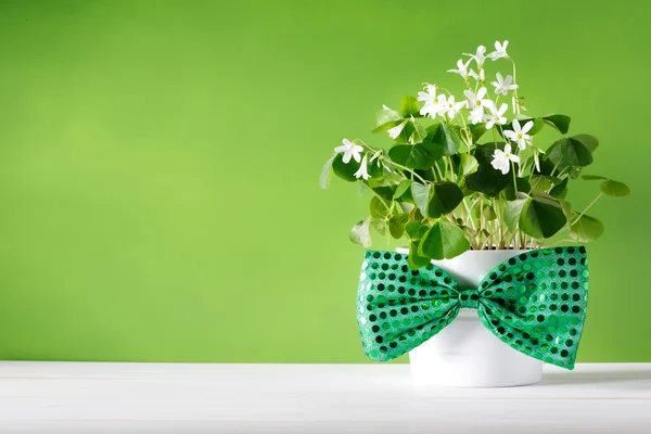 Saint Patricks Day shamrock — Stockfoto