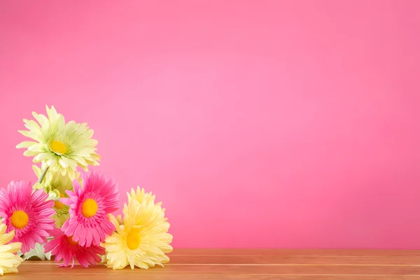 Цветные весенние цветы — стоковое фото