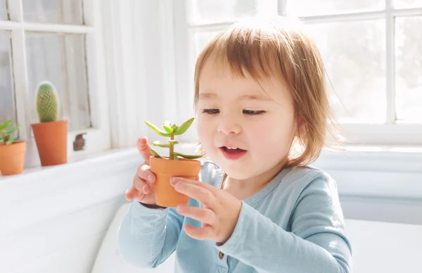 Chica feliz jugando con la planta en maceta — Foto de Stock
