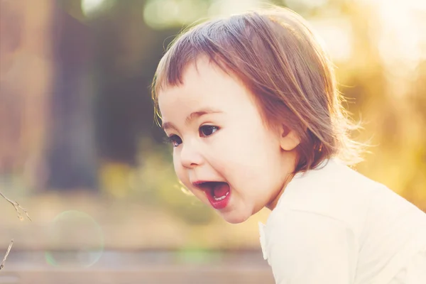 Happy toddler girl playing outside — Stock Photo, Image