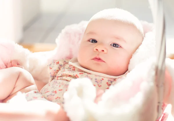 Újszülött baba lány egy kosárban — Stock Fotó