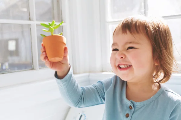 Κορίτσι μικρό παιδί παίζει με φυτό σε γλάστρα — Φωτογραφία Αρχείου