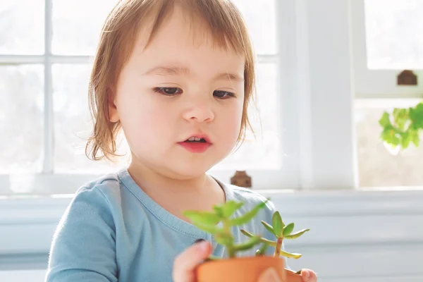 Kleuter meisje speelt met potplanten — Stockfoto