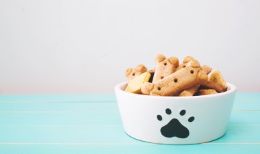 Dog treats in a bowl on wooden table clipart