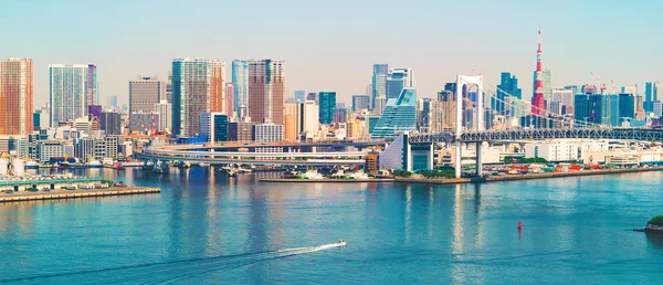 Tokyo Бухта з видом на горизонт Токіо — стокове фото
