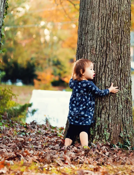 蹒跚学步的女孩拥抱树 — 图库照片