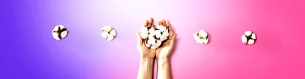 Mãos femininas segurando flores de algodão — Fotografia de Stock