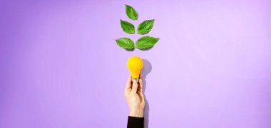 Elinde yeşil yapraklı ampuller tutan kişi