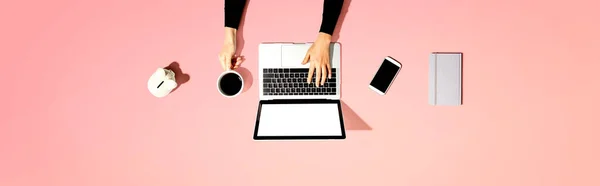 Person using a laptop computer with a piggy bank — Stock Photo, Image