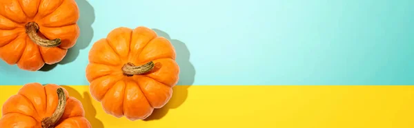 Autumn orange pumpkins overhead view — Stock Photo, Image