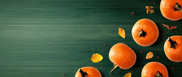 Abóboras de outono com folhas coloridas — Fotografia de Stock