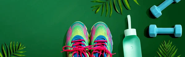 Spor ayakkabıları ve tropik bitkilerle birlikte dambıllar. — Stok fotoğraf