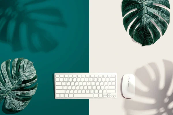 Computer keyboard with tropical leaves and shadow