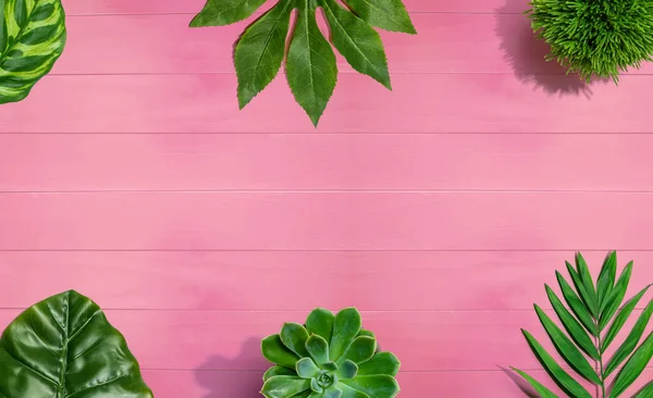 Hojas verdes tropicales desde arriba — Foto de Stock