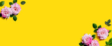 Yeşil yapraklı pembe güller