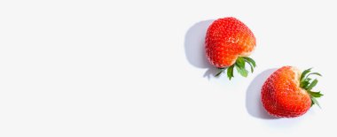 Taze kırmızı çilek manzarası