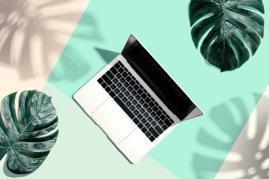 Tropikal yapraklı dizüstü bilgisayar