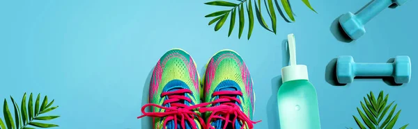 Fitness shoes and dumbbells with tropical plants — Stock Photo, Image