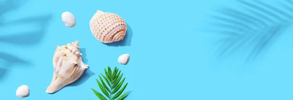 Conceito de verão com conchas e uma folha de palma — Fotografia de Stock