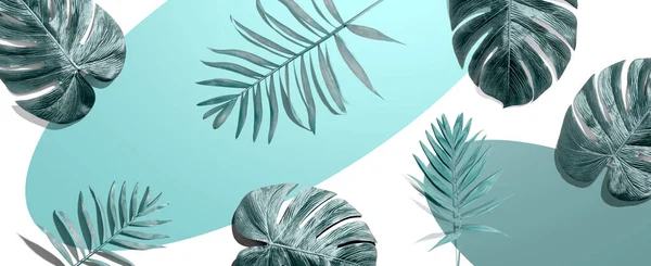 Folhas de palma tropicais de cima — Fotografia de Stock