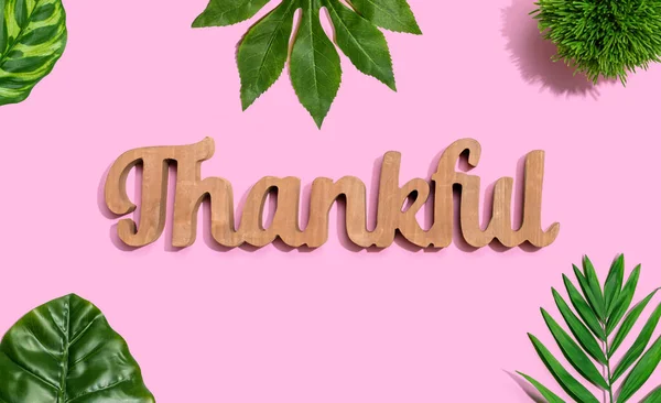 Wdzięczny drewniany tekst z liśćmi tropikalnymi — Zdjęcie stockowe