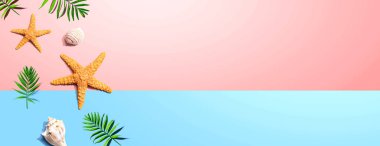 Deniz yıldızları ve deniz kabukları ile yaz konsepti