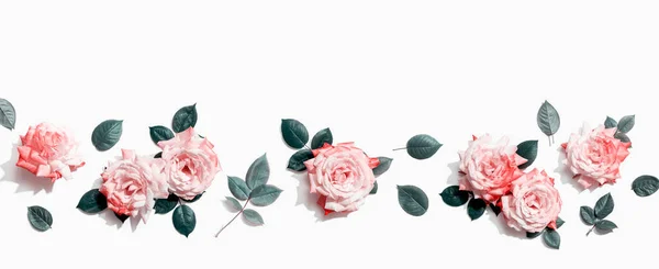 Ροζ τριαντάφυλλα με πράσινα φύλλα — Φωτογραφία Αρχείου