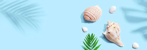 Conceito de verão com conchas e uma folha de palma — Fotografia de Stock
