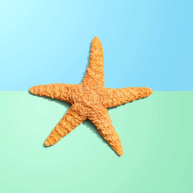 Deniz yıldızı manzaralı yaz konsepti