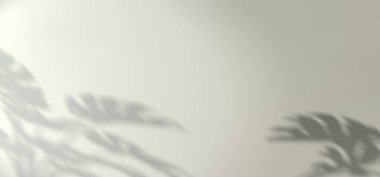 Tropikal canavar yapraklarının gölgesi