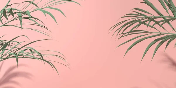 Tropische palmbladeren met schaduw — Stockfoto