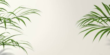 Tropik palmiye yaprakları gölgeli