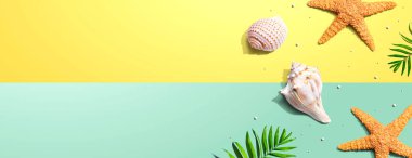 Deniz yıldızları ve deniz kabukları ile yaz konsepti