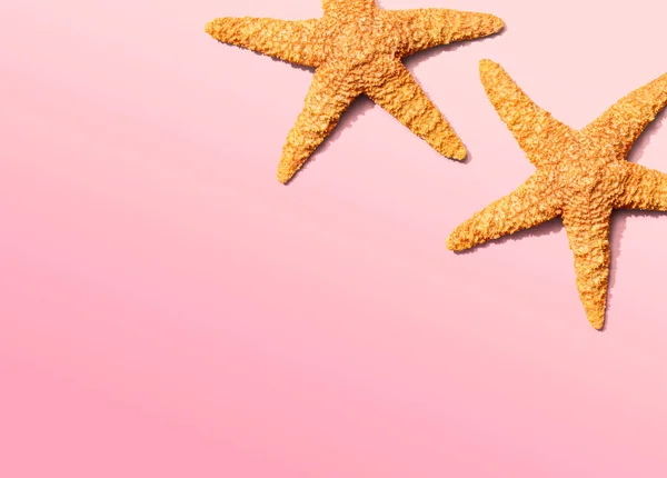 Summer concept with starfish overhead view — Stock Photo, Image