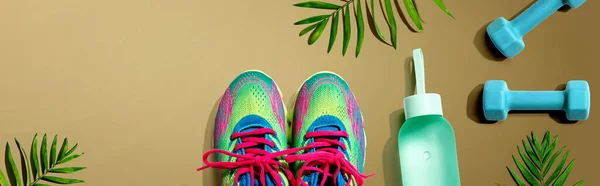Spor ayakkabıları ve tropik bitkilerle birlikte dambıllar. — Stok fotoğraf