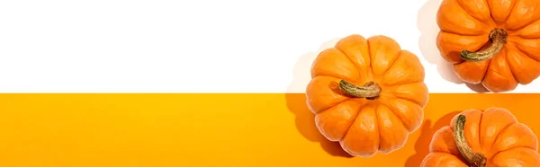 Podzimní oranžové dýně nad hlavou — Stock fotografie