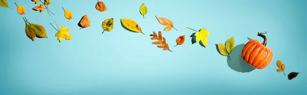 Autumn pumpkin with colorful leaves overhead view — Stock Photo, Image