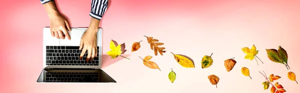 랩탑 컴퓨터를 사용하여 사람 과 함께 있는 가을 잎 — 스톡 사진