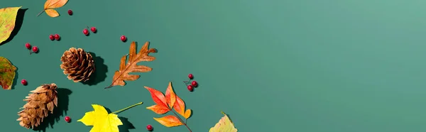Kolorowe jesienne liście z szyszkami — Zdjęcie stockowe
