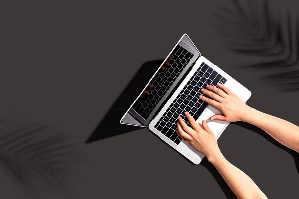 Persona que usa una computadora portátil con sombra de planta tropical — Foto de Stock