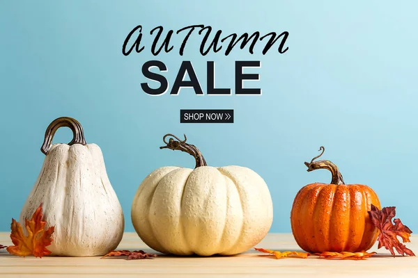 Autumn sale theme message with pumpkins — Stock Photo, Image