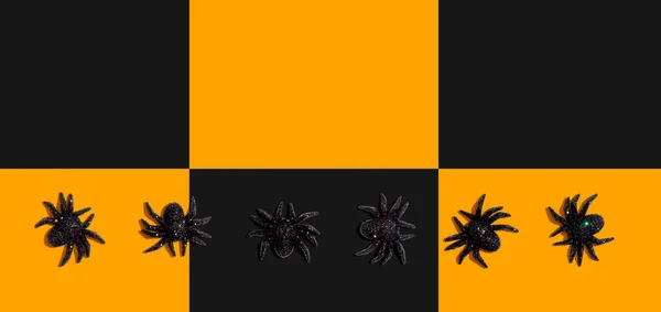 Schwarze Spinnen zu Halloween — Stockfoto