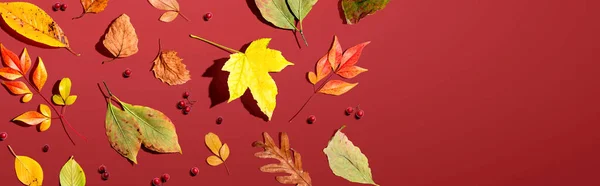 Coloridas hojas de otoño vista aérea —  Fotos de Stock