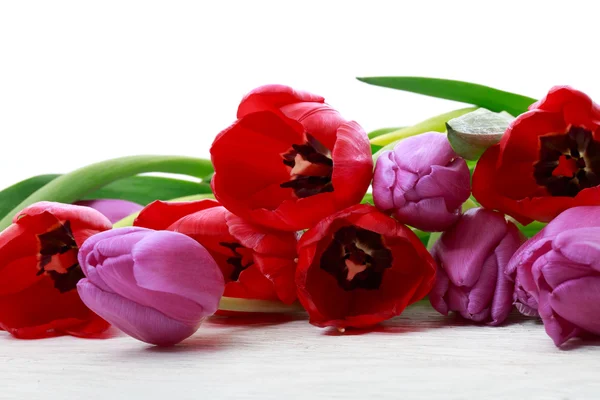 Rött och lila tulpaner — Stockfoto